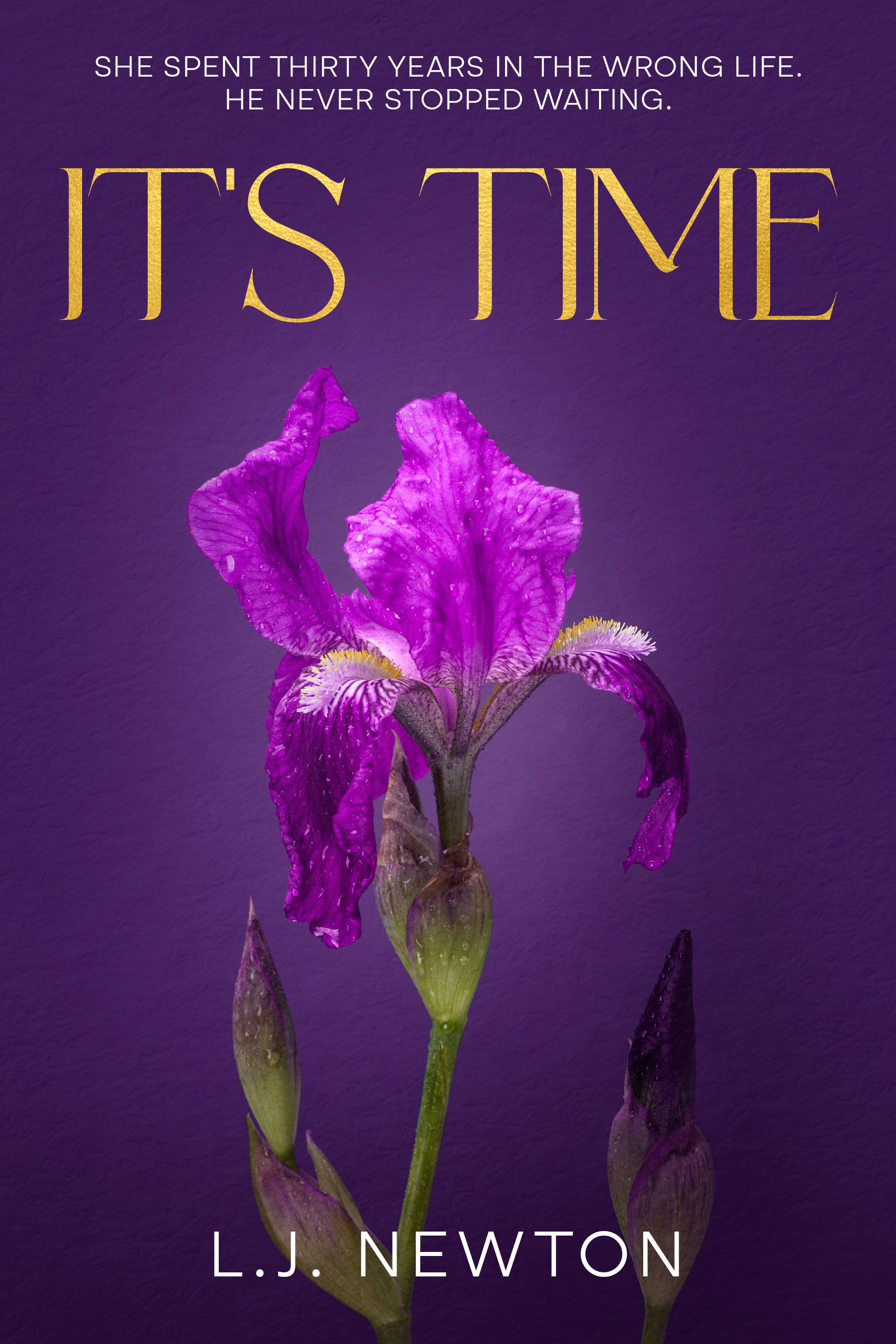 It's Time by L.J. Newton